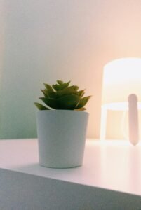 Best small planters for real plants for a home office